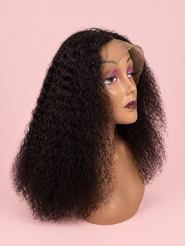 Natural Black Curly Lace Frontal Wig